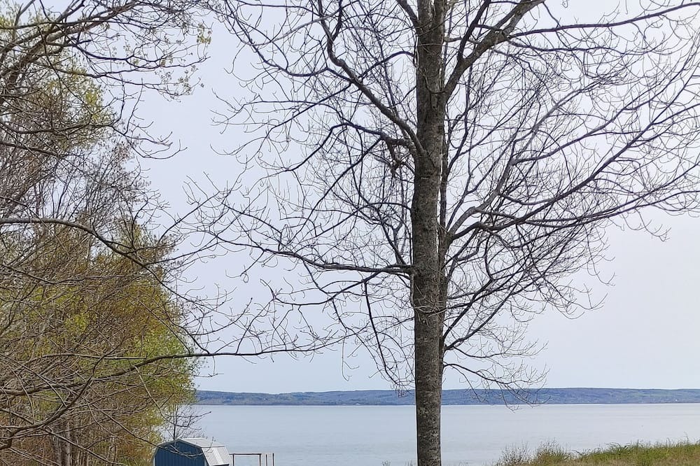 Photo of Outdoor in Port Wade