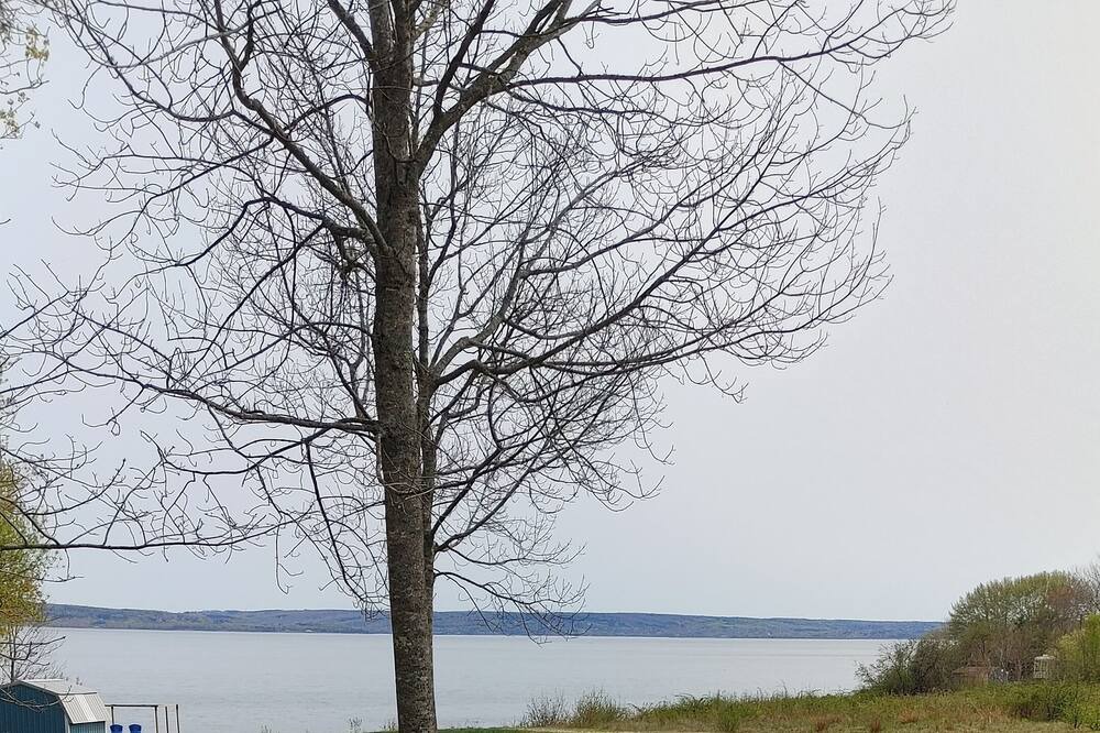 Photo of Outdoor in Port Wade
