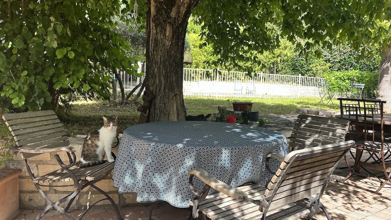 Photo of Outdoor in Grabels