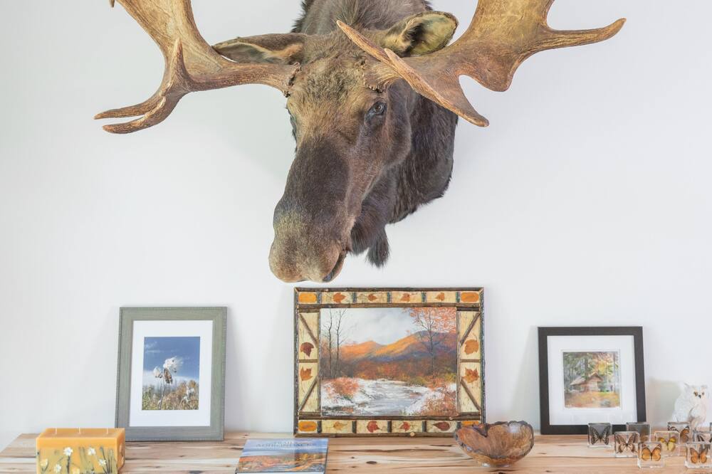 Photo of Others in Tupper Lake