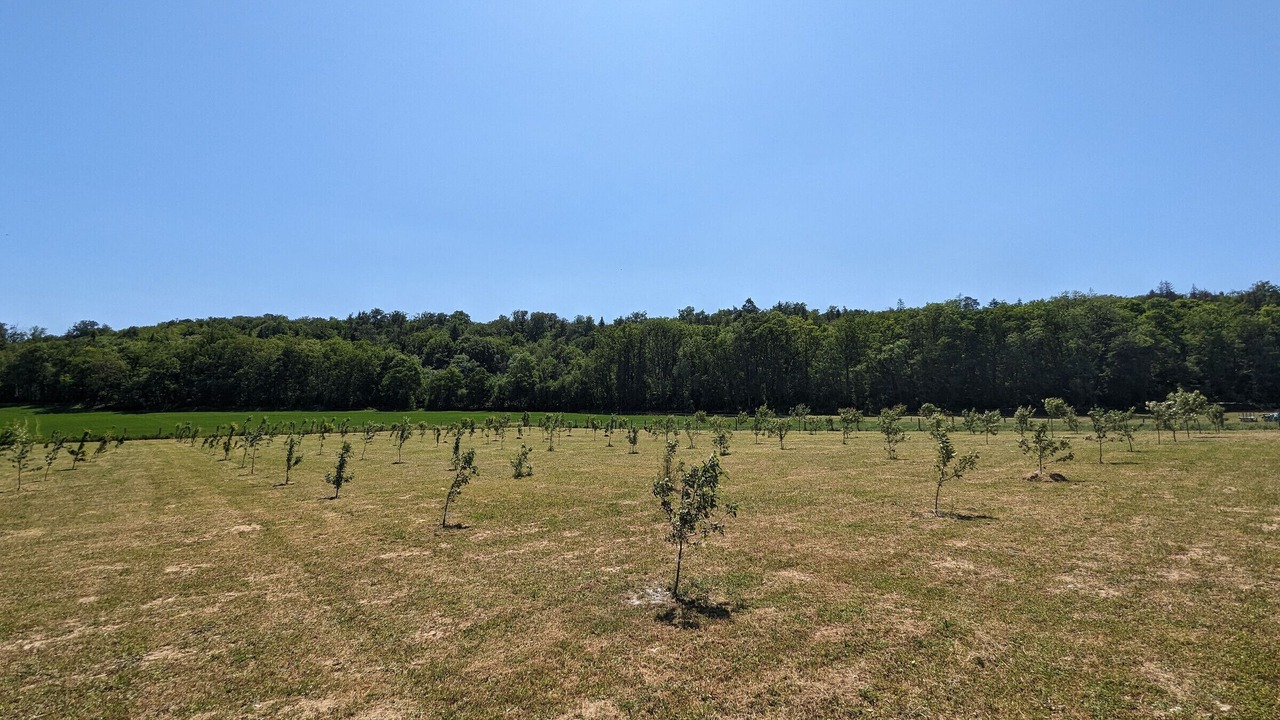 Photo of Outdoor in Longeaux