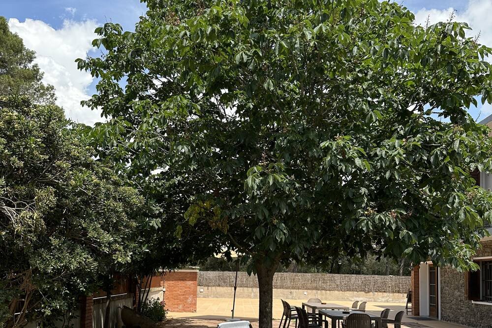 Photo of Outdoor in Palau-solita i Plegamans