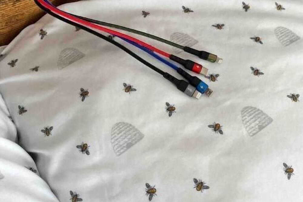 Photo of Others in Cal Young