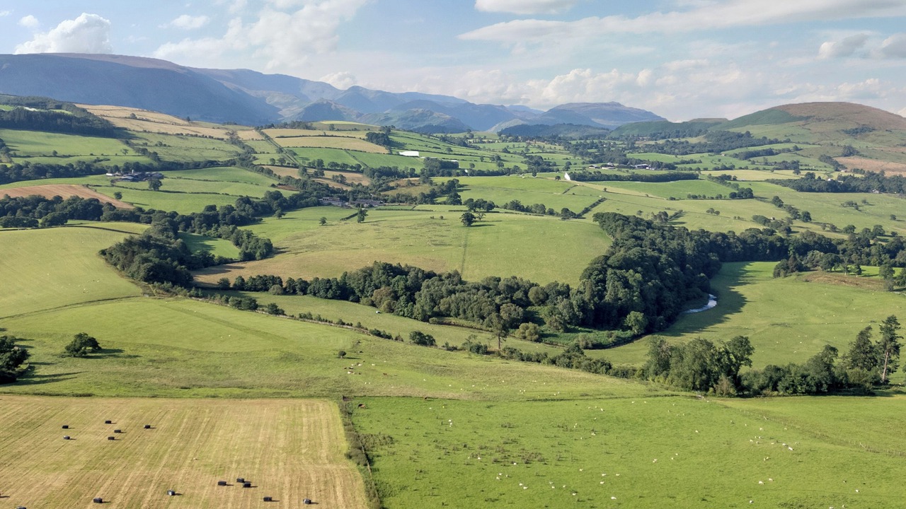 Photo of Others in Hutton