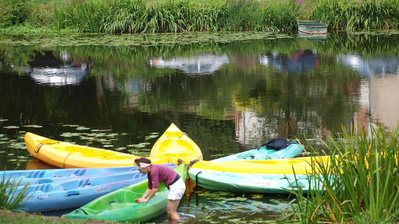 Photo of Others in Angles-sur-lAnglin