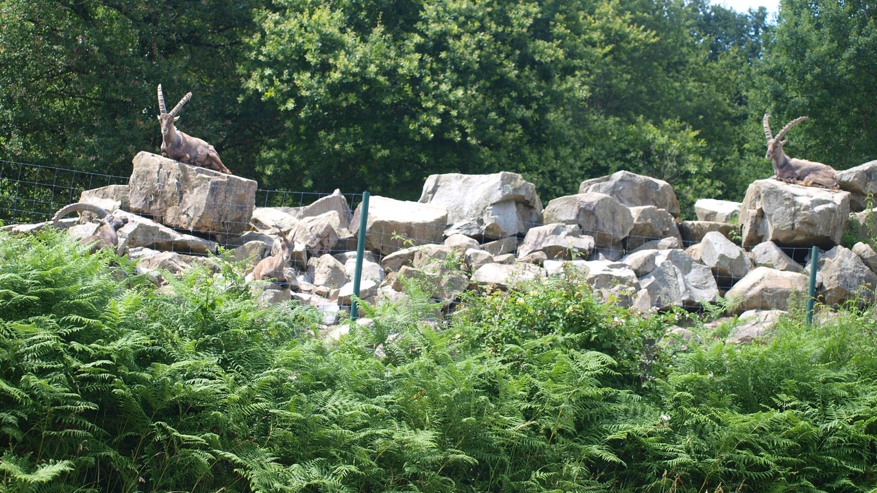Photo of Outdoor in Angles-sur-lAnglin