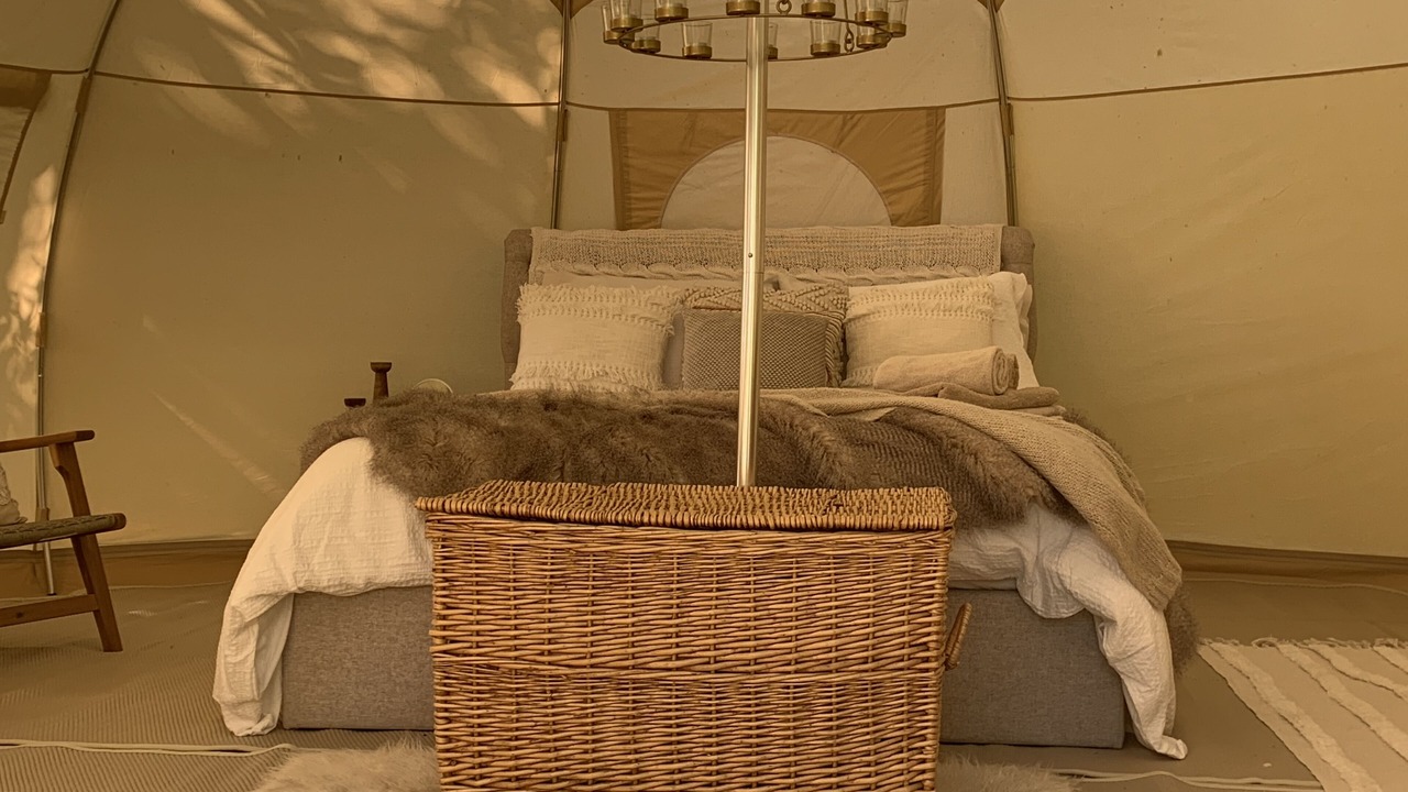 Photo of Others in Sarce