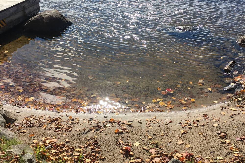 Photo of Others in Unorganized North East Parry Sound