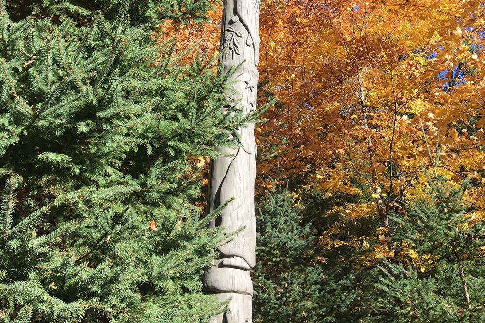 Photo of Outdoor in Unorganized North East Parry Sound