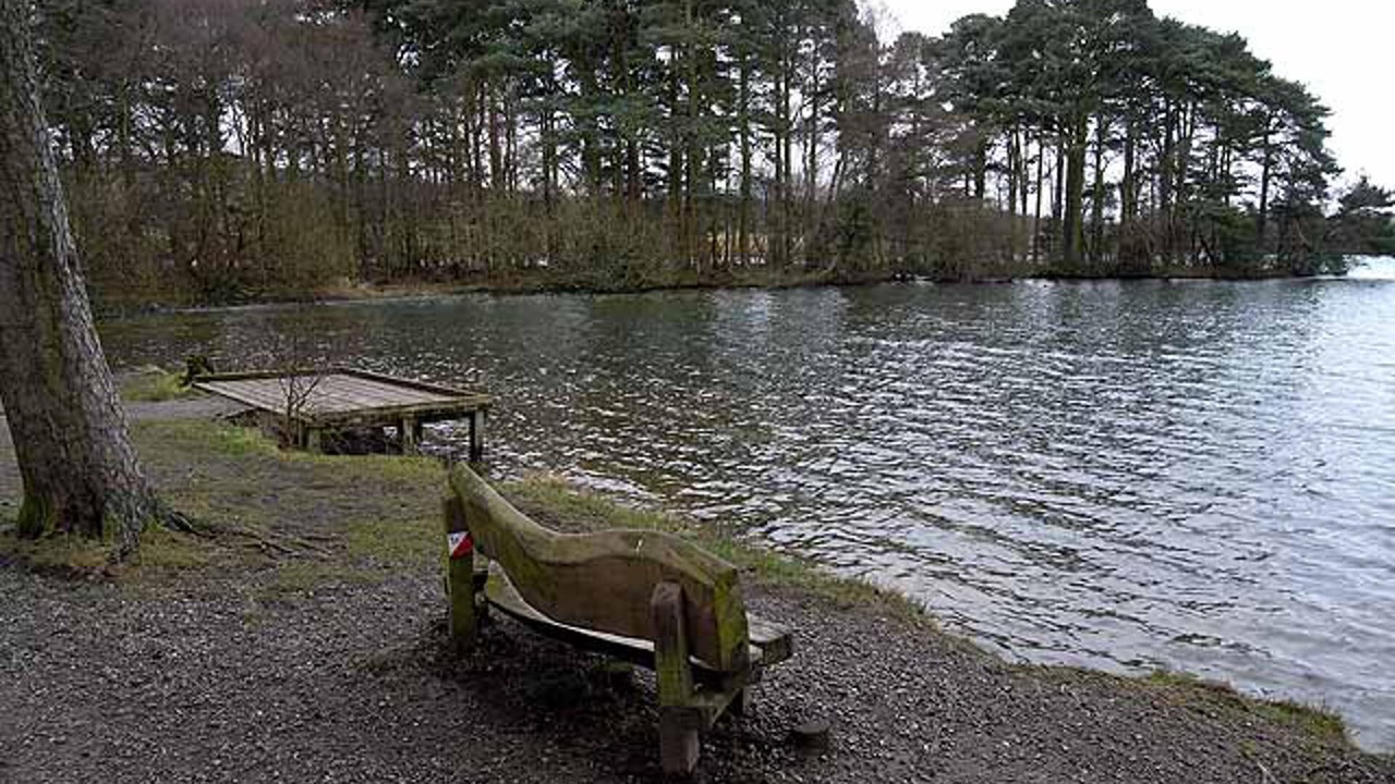 Photo of Others in Hayton