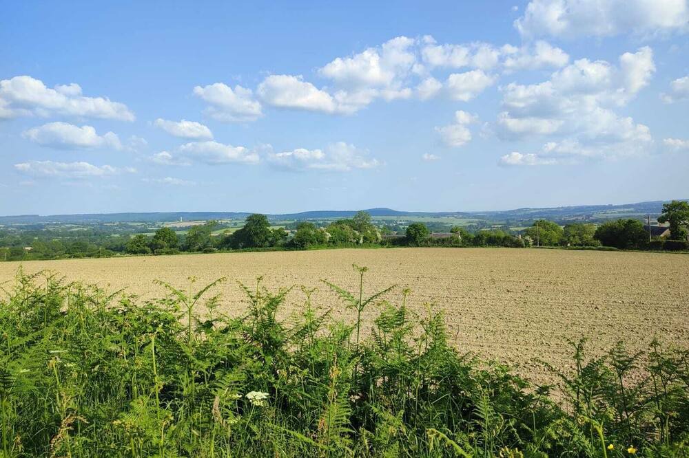 Photo of Others in Livaie