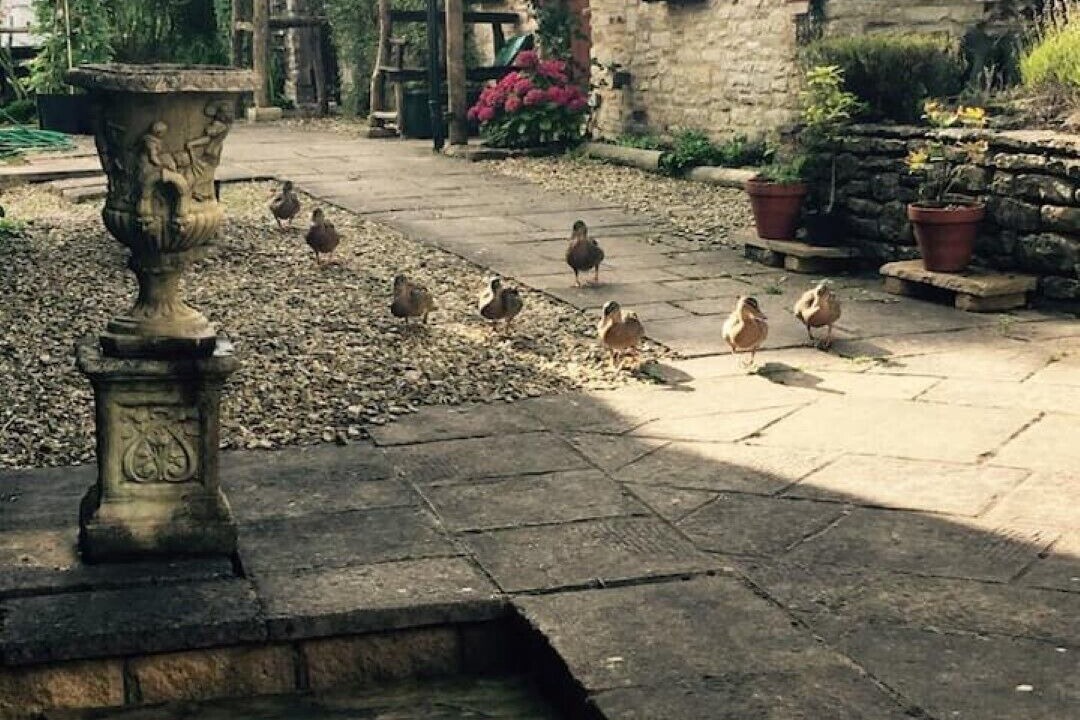 Photo of Others in Coalpit Heath