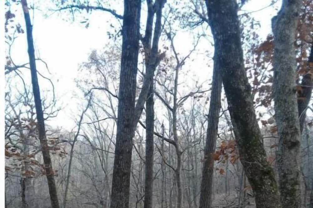 Photo of Outdoor in Warrensburg