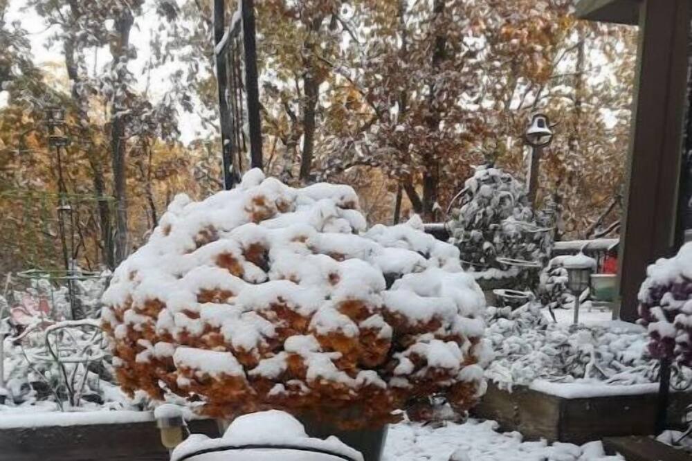 Photo of Outdoor in Warrensburg