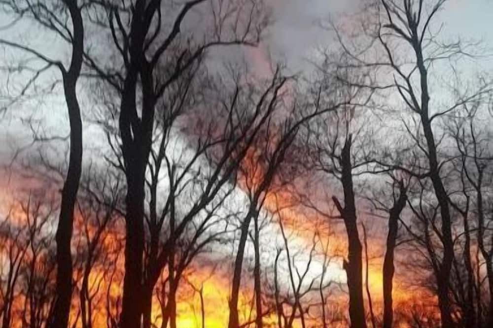 Photo of Others in Warrensburg