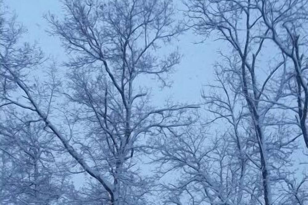 Photo of Others in Warrensburg