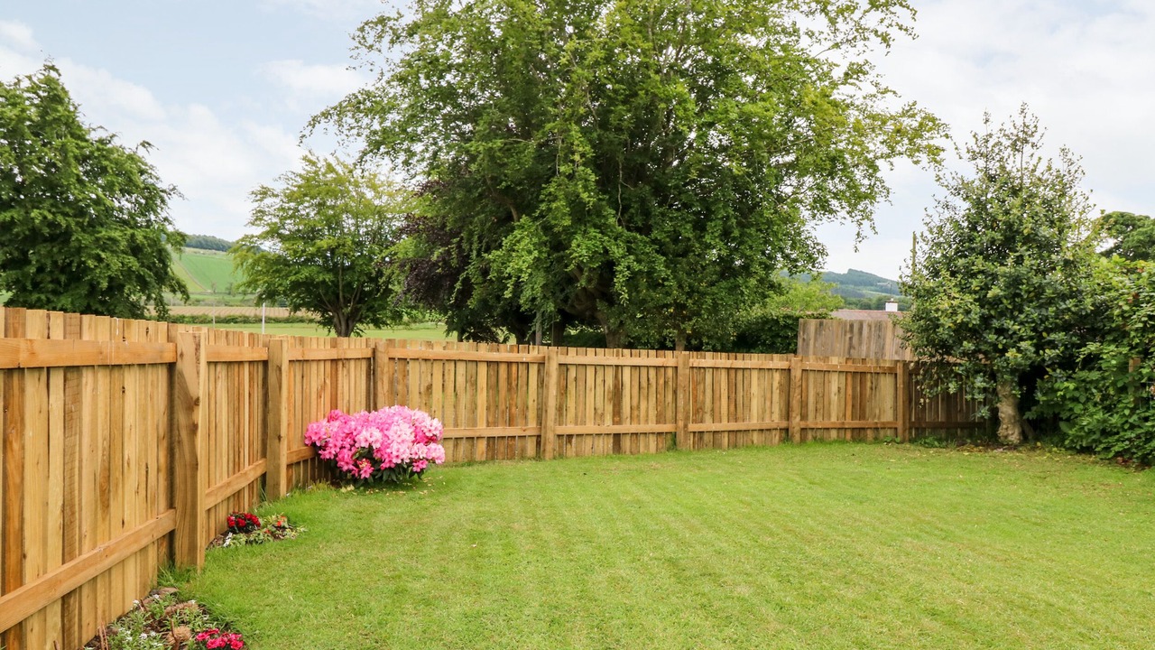 Photo of Outdoor in Cupar