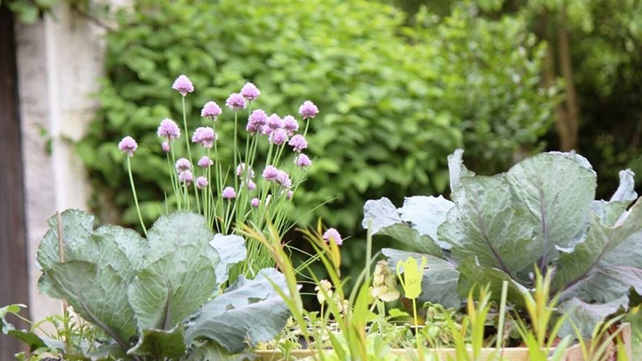 Photo of Outdoor in Pouligny-Saint-Pierre