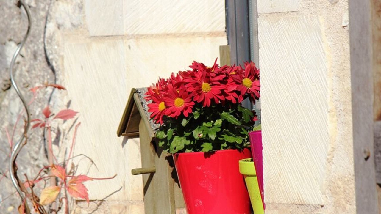 Photo of Outdoor in Pouligny-Saint-Pierre