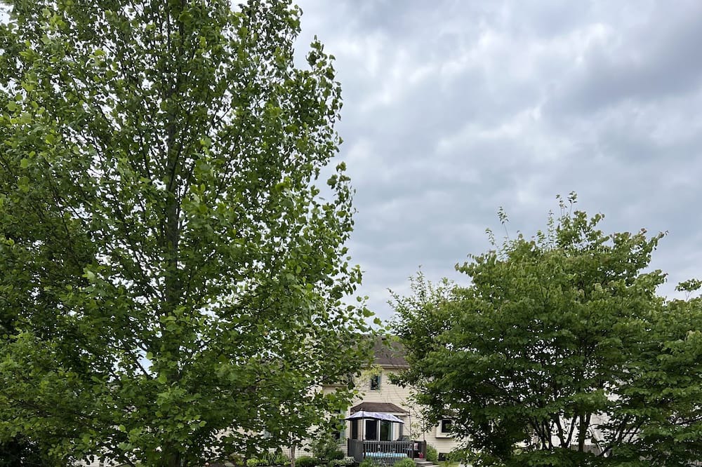 Photo of Outdoor in Leo-Cedarville