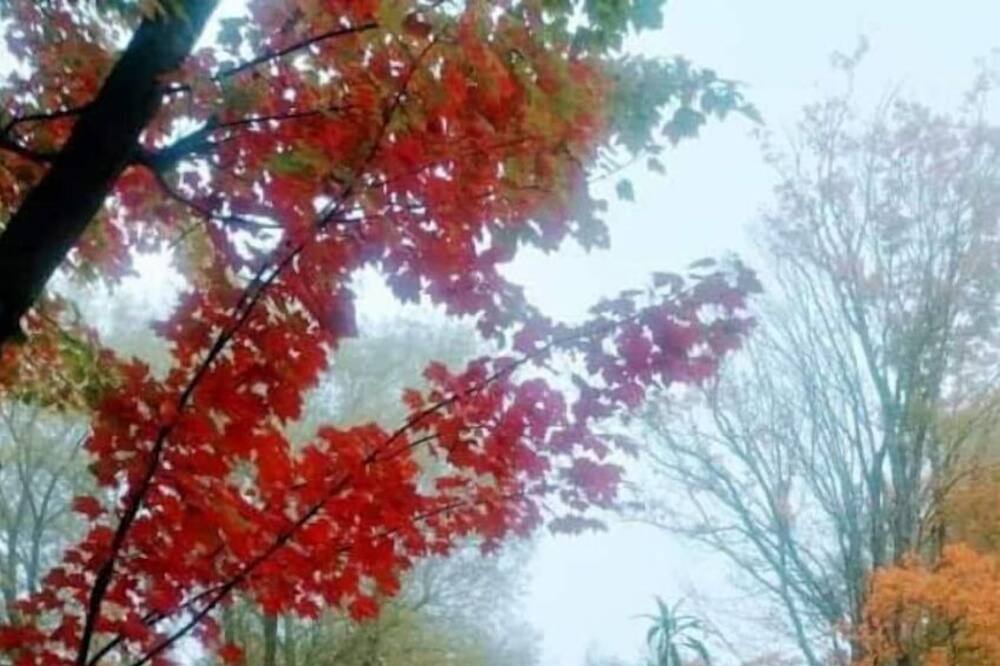 Photo of Outdoor in North Hatley
