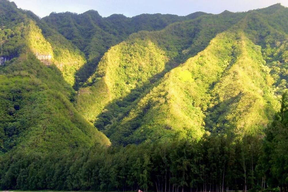 Photo of Others in Kahuku