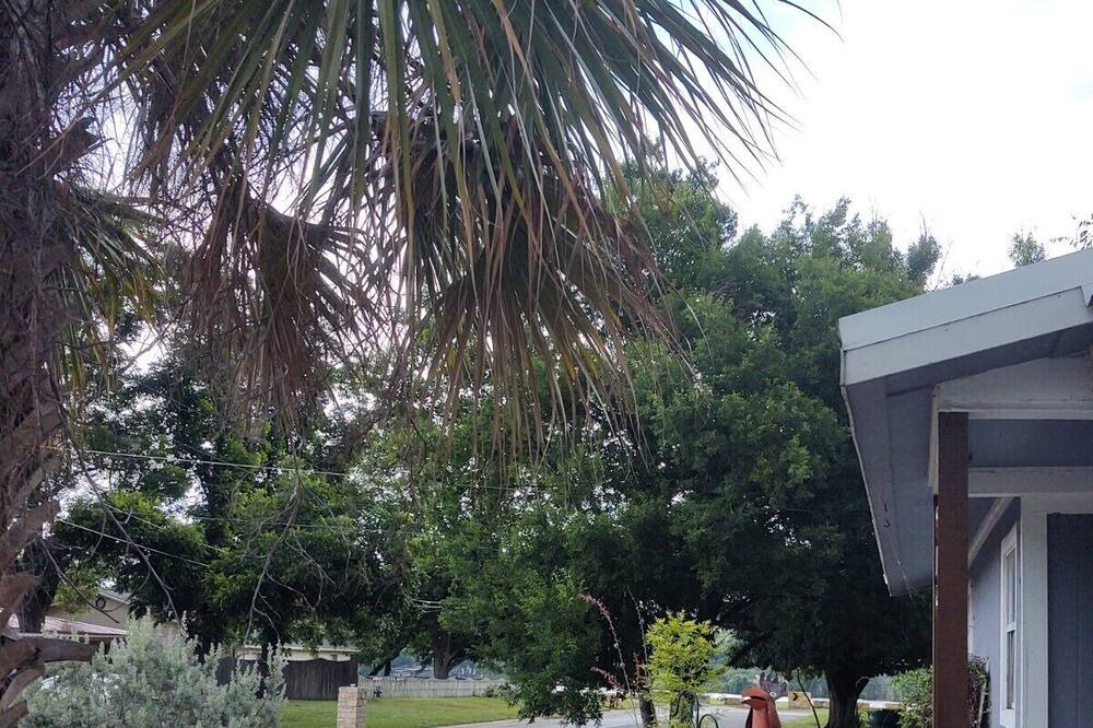 Photo of Outdoor in Marble Falls