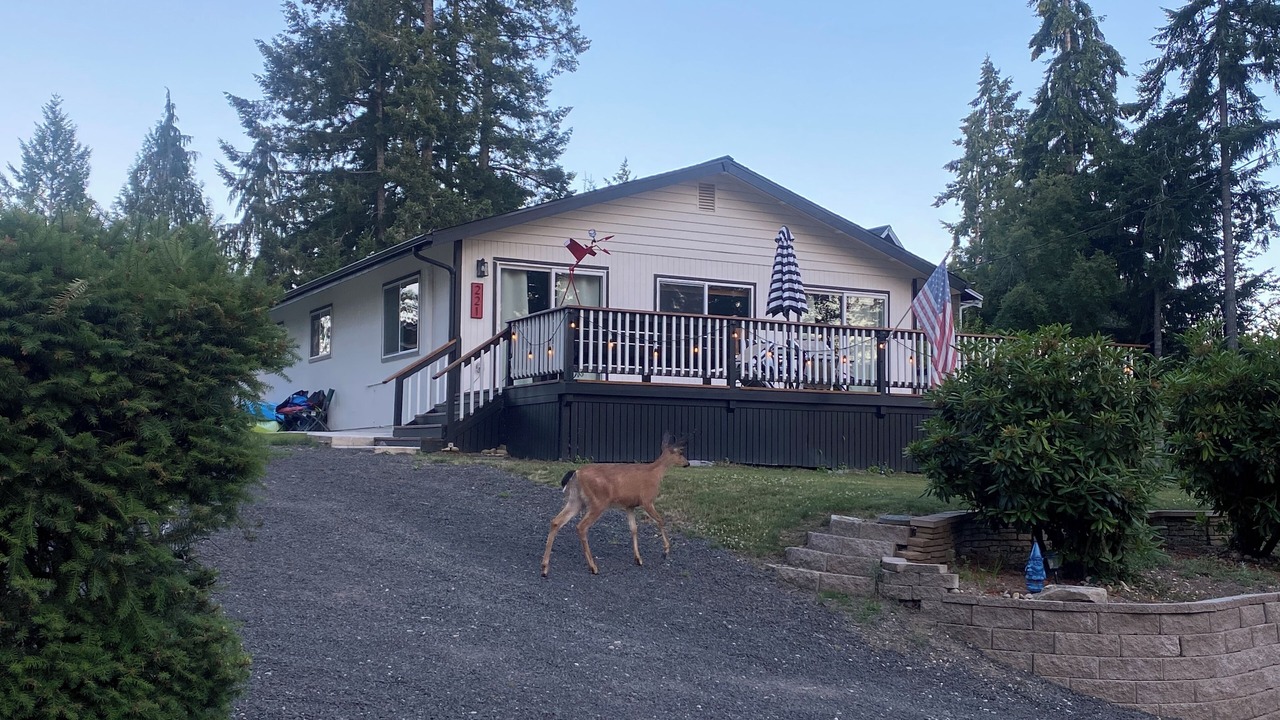 Photo of Outdoor in Allyn-Grapeview