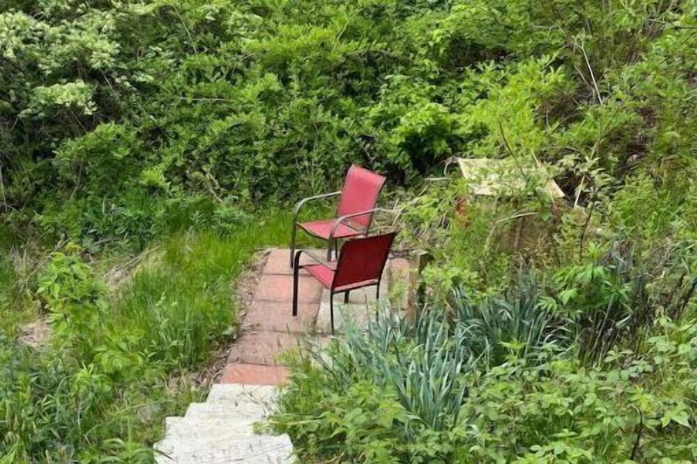 Photo of Outdoor in Ouaquaga