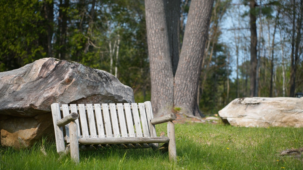 Photo of Outdoor in Algonquin Highlands