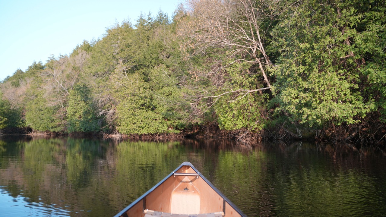 Photo of Others in Algonquin Highlands