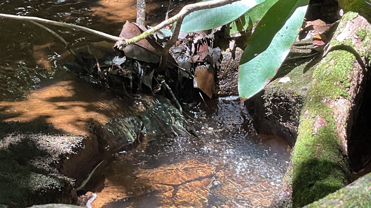 Photo of Outdoor in Wiley