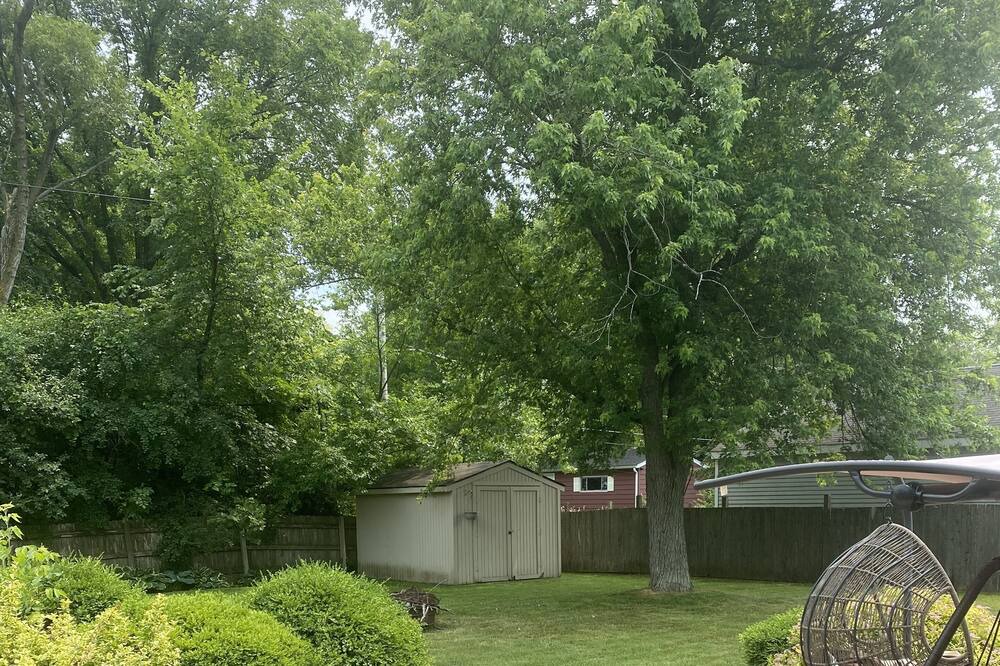Photo of Outdoor in Lake Zurich