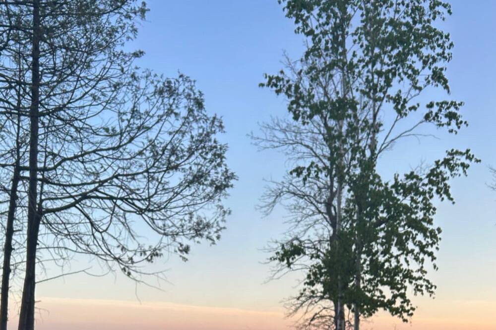 Photo of Outdoor in Colpoys Bay