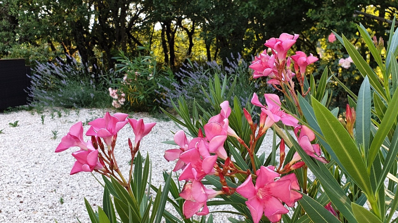 Photo of Outdoor in Saint-Marcel-d'Aredeche