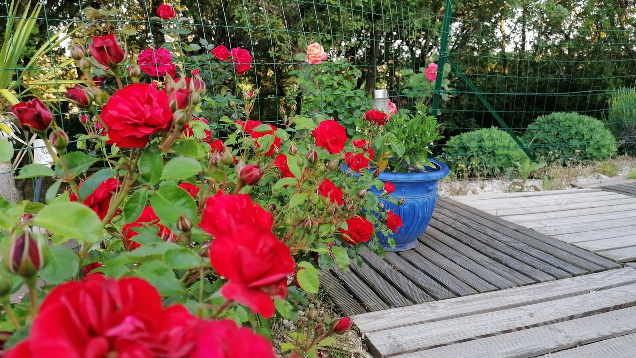 Photo of Outdoor in Saint-Marcel-d'Aredeche