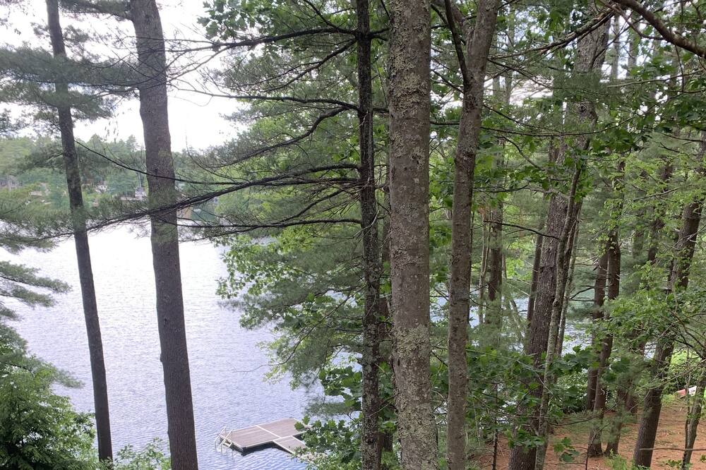 Photo of Outdoor in Lyman