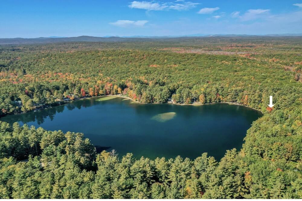 Photo of Others in Lyman