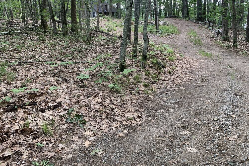 Photo of Outdoor in Lyman