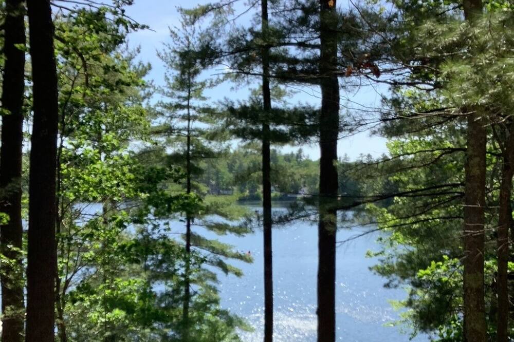 Photo of Others in Lyman