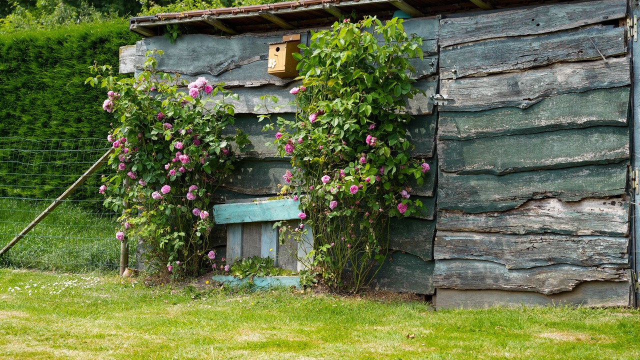 Photo of Outdoor in Acheux-en-Vimeu