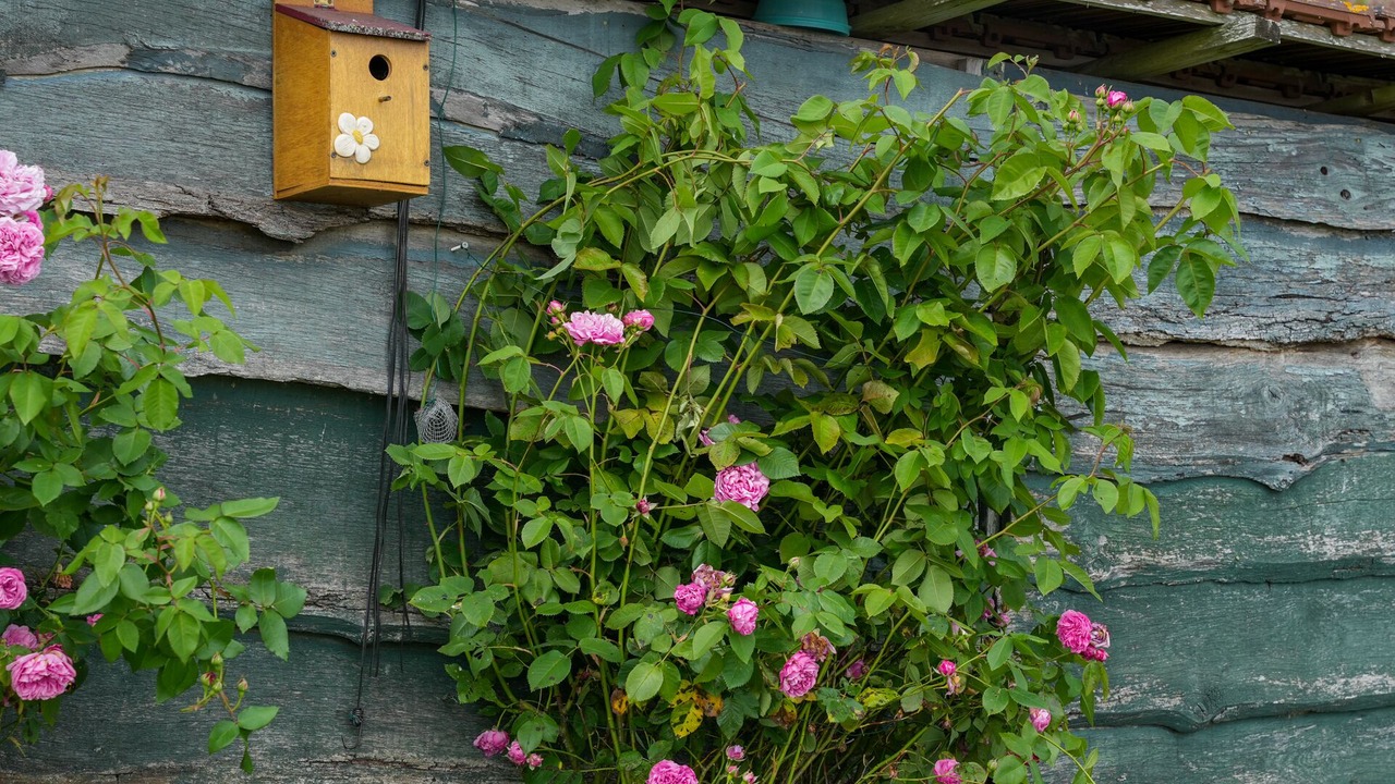 Photo of Outdoor in Acheux-en-Vimeu