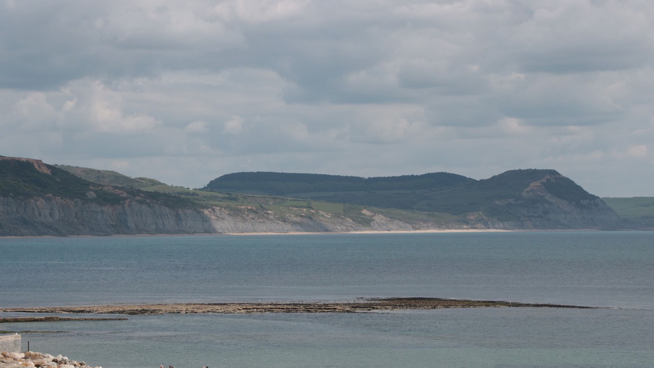 Photo of Others in Lyme Regis