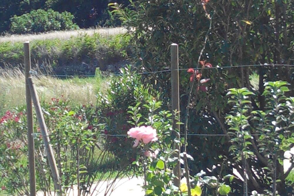 Photo of Outdoor in La Laupie
