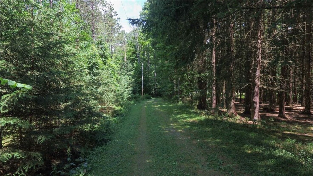 Photo of Outdoor in Avoca
