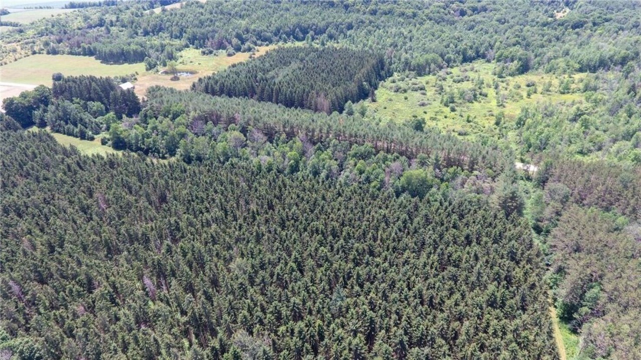 Photo of Outdoor in Avoca