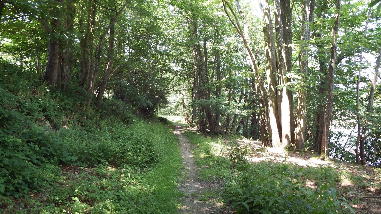 Photo of Outdoor in Montauban-de-Bretagne