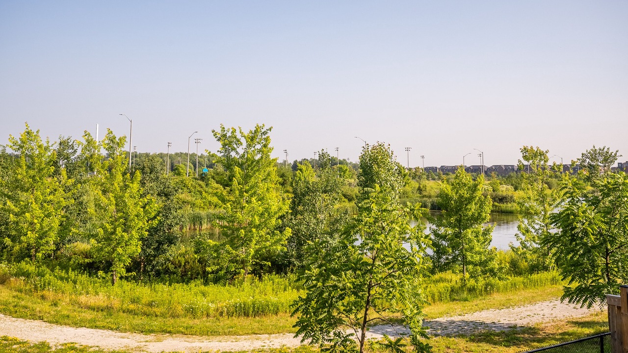Photo of Outdoor in Mount Pleasant