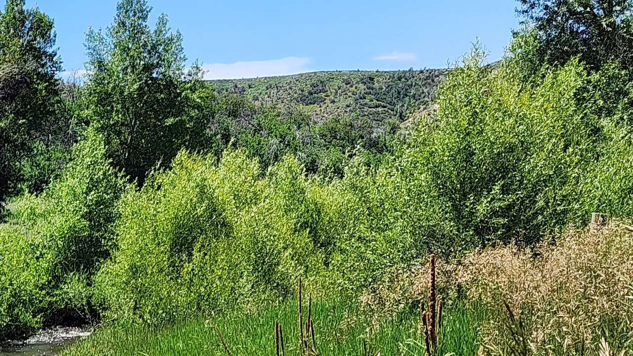 Photo of Outdoor in Savery