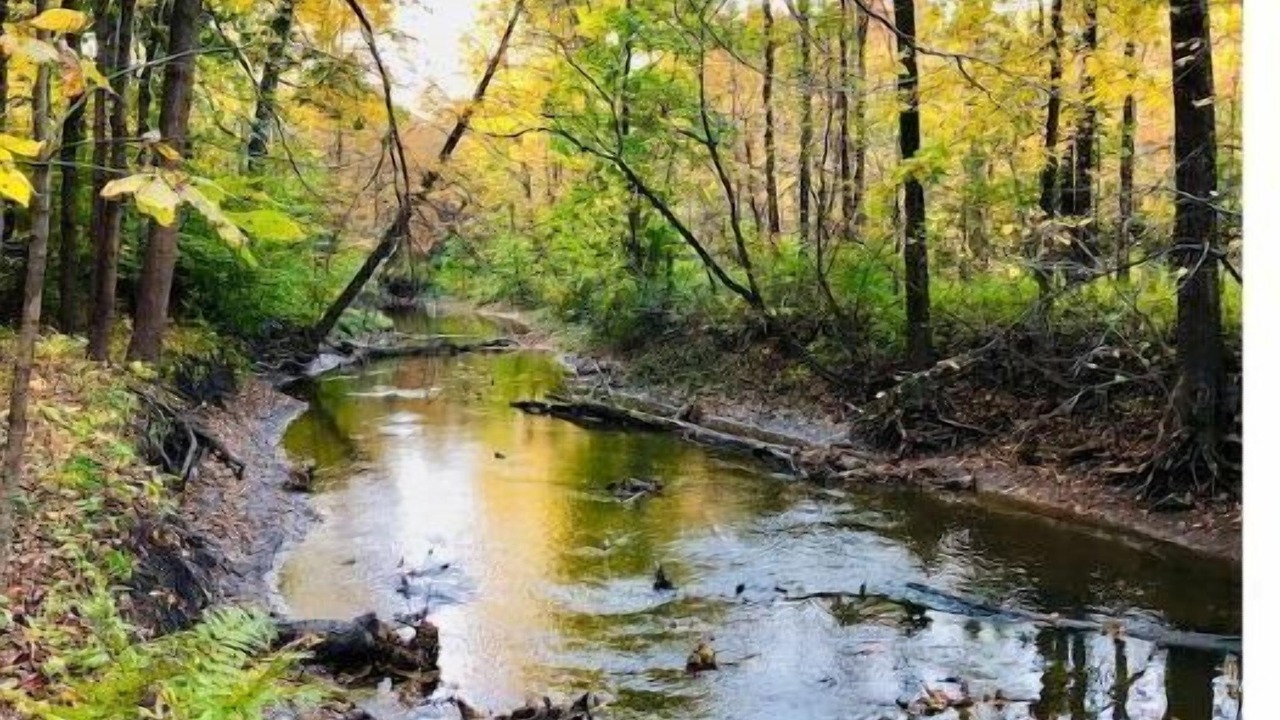 Photo of Outdoor in Selkirk